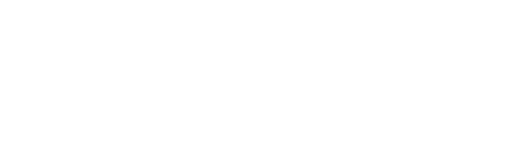 IDN Software